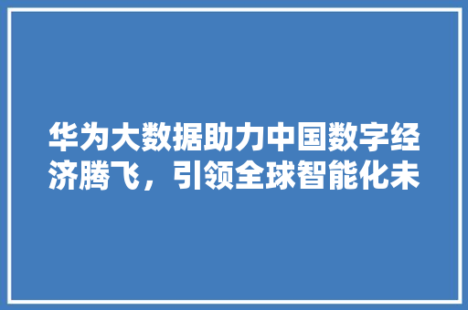 华为大数据助力中国数字经济腾飞，引领全球智能化未来