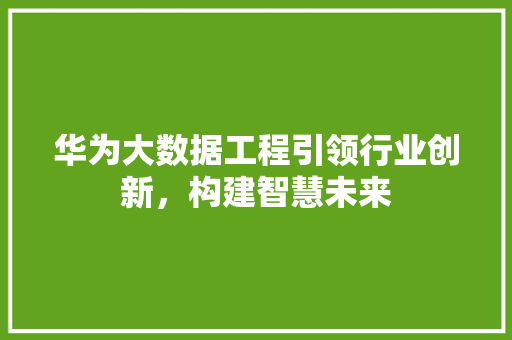 华为大数据工程引领行业创新，构建智慧未来