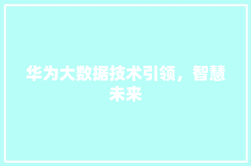 华为大数据技术引领，智慧未来