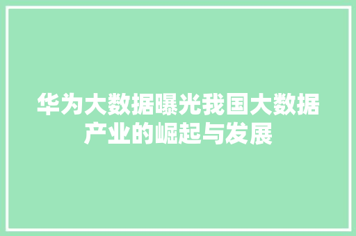 华为大数据曝光我国大数据产业的崛起与发展
