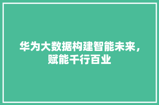 华为大数据构建智能未来，赋能千行百业