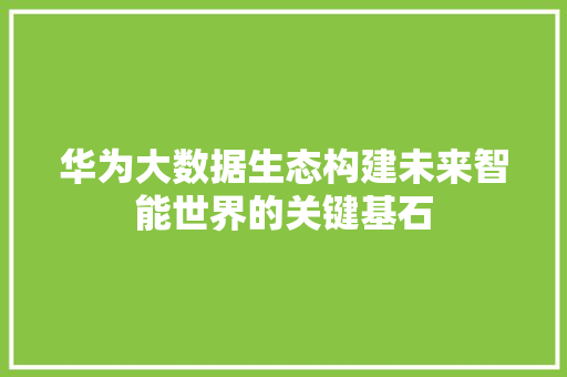 华为大数据生态构建未来智能世界的关键基石