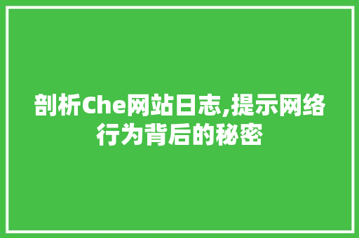 剖析Che网站日志,提示网络行为背后的秘密