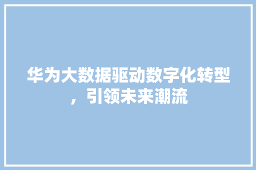 华为大数据驱动数字化转型，引领未来潮流