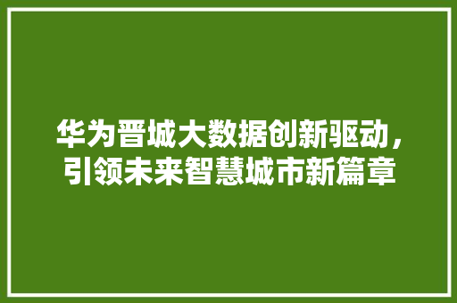 华为晋城大数据创新驱动，引领未来智慧城市新篇章