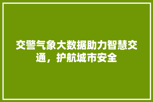 交警气象大数据助力智慧交通，护航城市安全