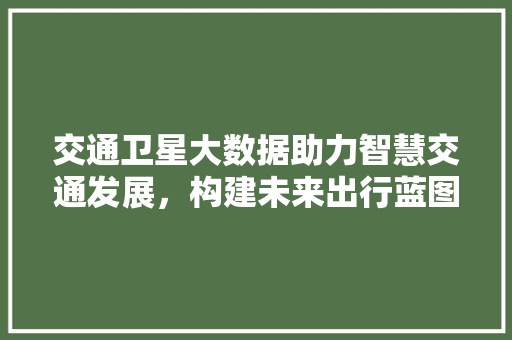 交通卫星大数据助力智慧交通发展，构建未来出行蓝图