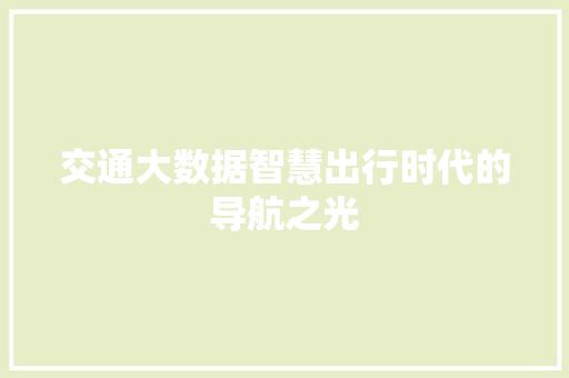 交通大数据智慧出行时代的导航之光