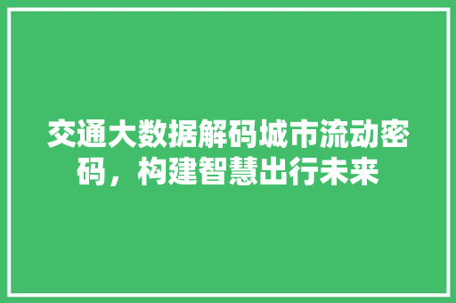 交通大数据解码城市流动密码，构建智慧出行未来