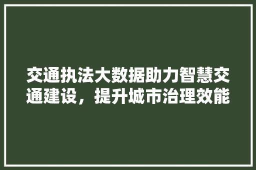 交通执法大数据助力智慧交通建设，提升城市治理效能