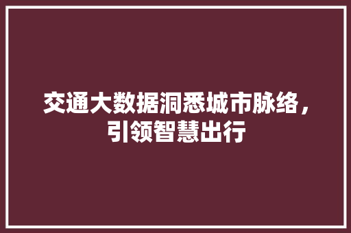 交通大数据洞悉城市脉络，引领智慧出行