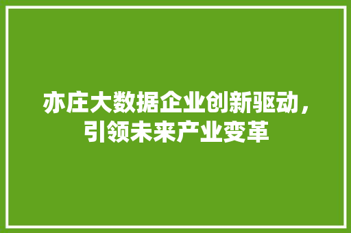 亦庄大数据企业创新驱动，引领未来产业变革