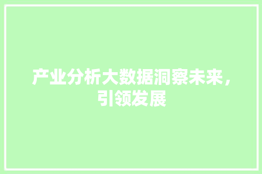 产业分析大数据洞察未来，引领发展