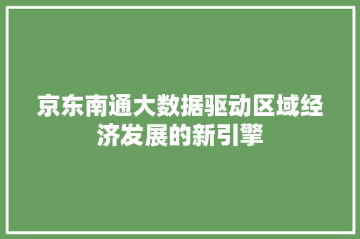 京东南通大数据驱动区域经济发展的新引擎
