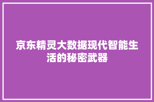 京东精灵大数据现代智能生活的秘密武器