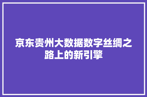 京东贵州大数据数字丝绸之路上的新引擎