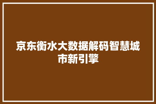 京东衡水大数据解码智慧城市新引擎