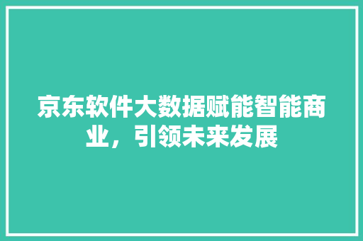 京东软件大数据赋能智能商业，引领未来发展