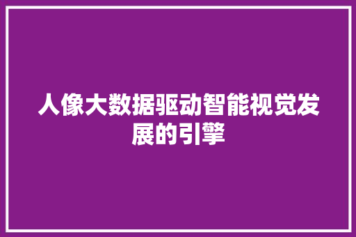 人像大数据驱动智能视觉发展的引擎