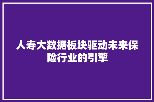 人寿大数据板块驱动未来保险行业的引擎