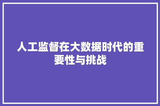 人工监督在大数据时代的重要性与挑战