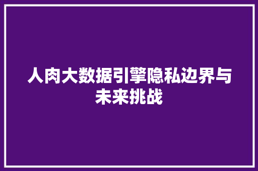 人肉大数据引擎隐私边界与未来挑战