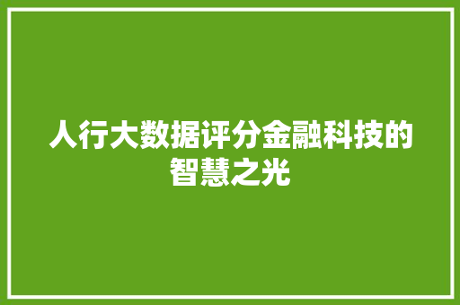 人行大数据评分金融科技的智慧之光