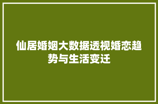 仙居婚姻大数据透视婚恋趋势与生活变迁