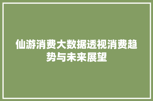 仙游消费大数据透视消费趋势与未来展望