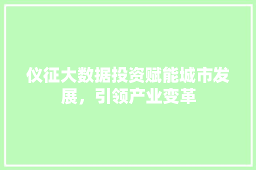 仪征大数据投资赋能城市发展，引领产业变革