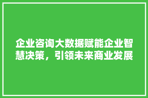 企业咨询大数据赋能企业智慧决策，引领未来商业发展