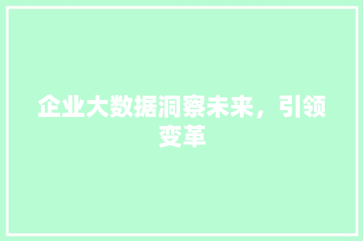 企业大数据洞察未来，引领变革