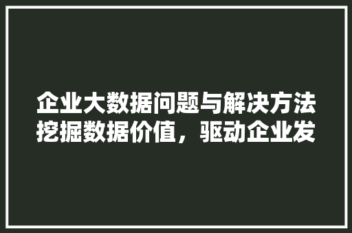 企业大数据问题与解决方法挖掘数据价值，驱动企业发展