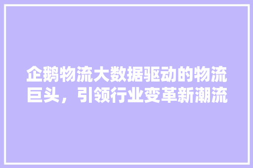 企鹅物流大数据驱动的物流巨头，引领行业变革新潮流