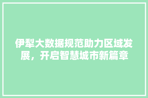 伊犁大数据规范助力区域发展，开启智慧城市新篇章