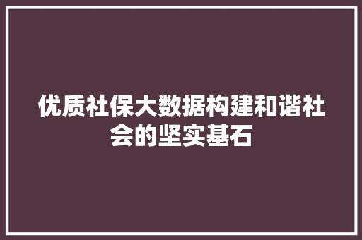 优质社保大数据构建和谐社会的坚实基石