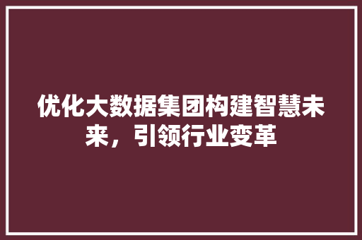 优化大数据集团构建智慧未来，引领行业变革