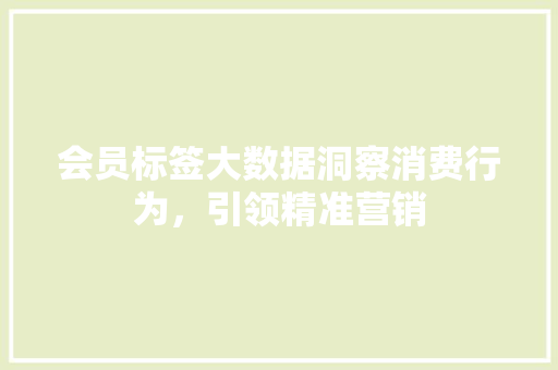 会员标签大数据洞察消费行为，引领精准营销