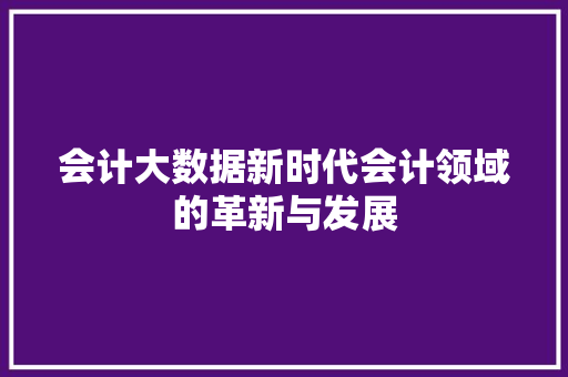 会计大数据新时代会计领域的革新与发展