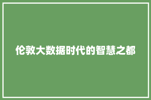 伦敦大数据时代的智慧之都