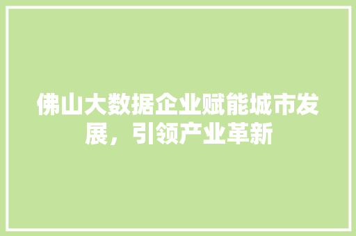 佛山大数据企业赋能城市发展，引领产业革新