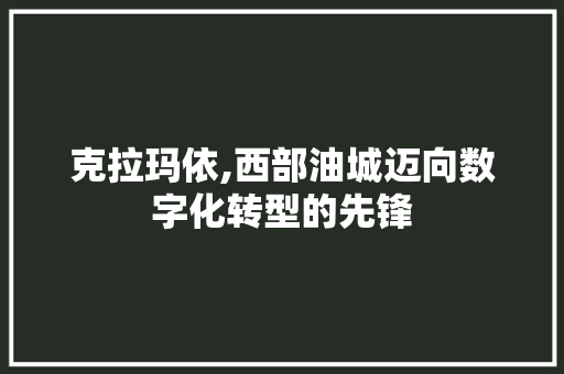 克拉玛依,西部油城迈向数字化转型的先锋