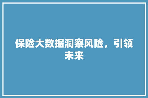 保险大数据洞察风险，引领未来