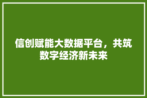 信创赋能大数据平台，共筑数字经济新未来