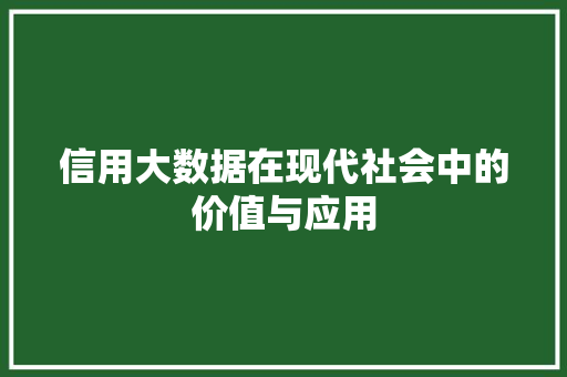 信用大数据在现代社会中的价值与应用