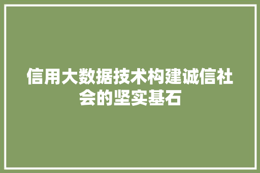 信用大数据技术构建诚信社会的坚实基石