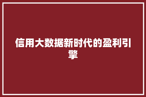 信用大数据新时代的盈利引擎