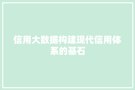 信用大数据构建现代信用体系的基石