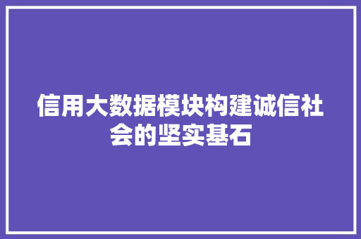 信用大数据模块构建诚信社会的坚实基石