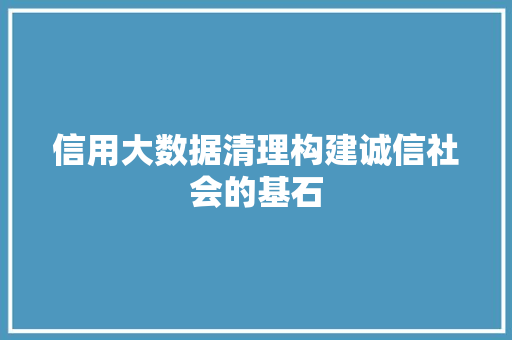 信用大数据清理构建诚信社会的基石